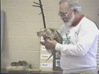  Nature Studies,  Camp Classen  November 1993   